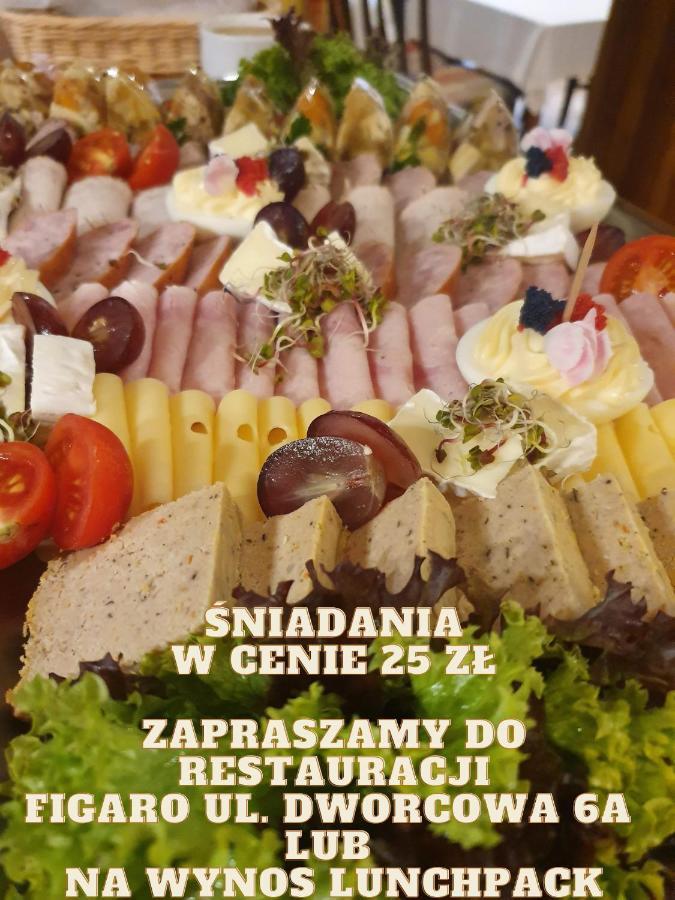 Villa 17 Noclegi Płock エクステリア 写真